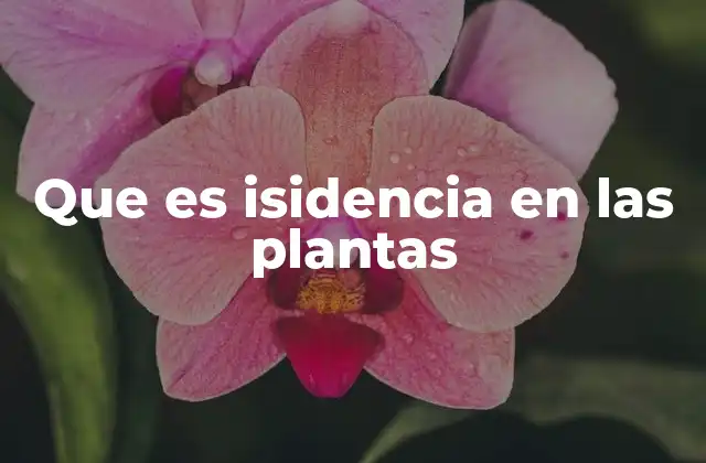 Que es Isidencia en las Plantas