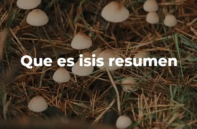 Que es Isis Resumen