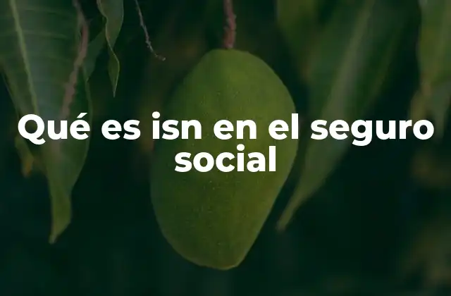 Qué es Isn en el Seguro Social