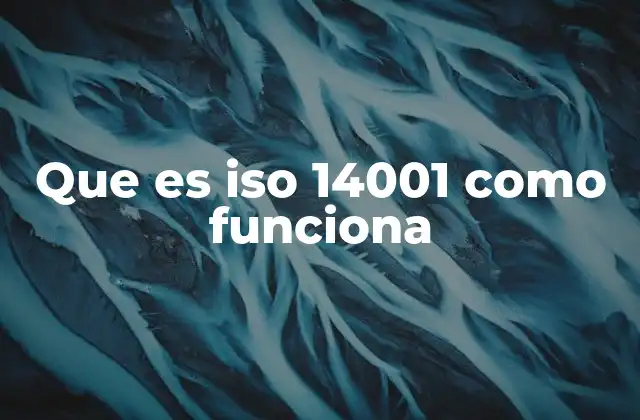 Que es Iso 14001 como Funciona
