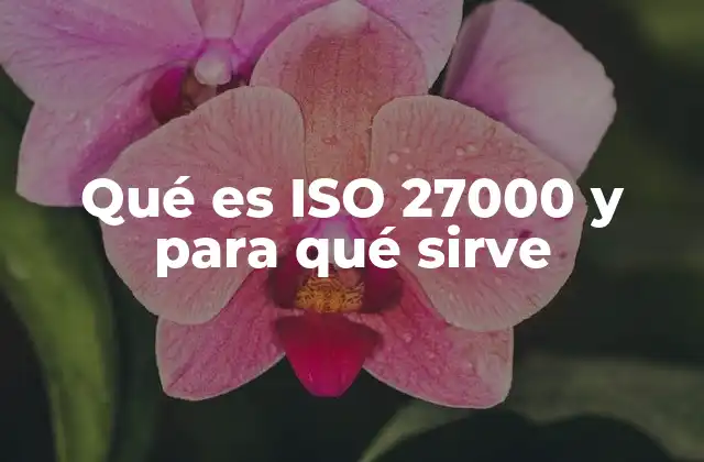 Qué es Iso 27000 y para Qué Sirve