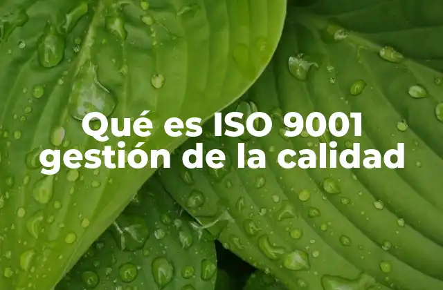 Qué es Iso 9001 Gestión de la Calidad