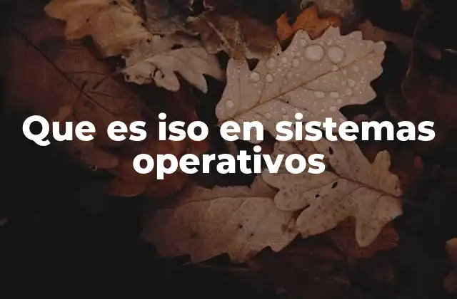 Que es Iso en Sistemas Operativos