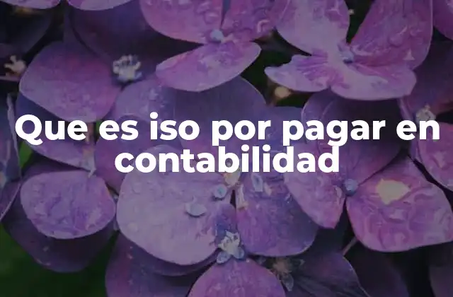 Que es Iso por Pagar en Contabilidad