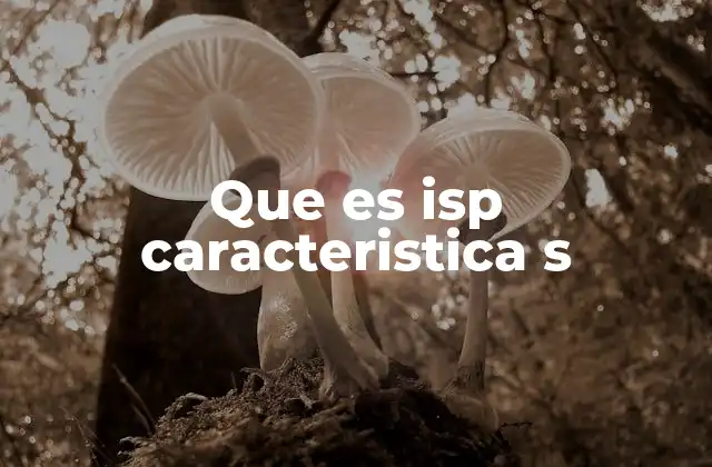 Que es Isp Caracteristica S