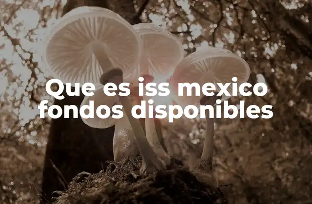 Que es Iss Mexico Fondos Disponibles