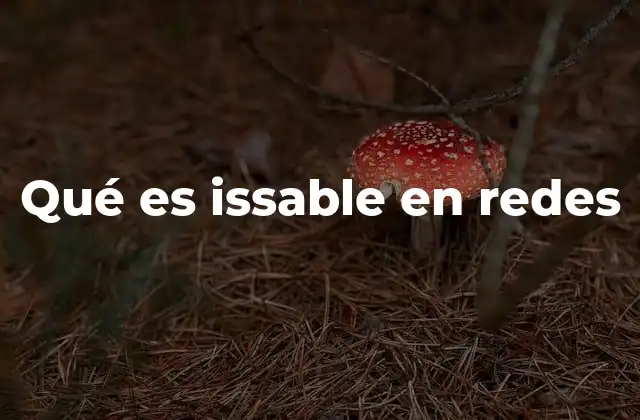 Qué es Issable en Redes