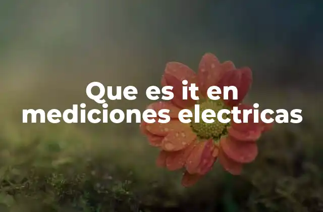 Que es It en Mediciones Electricas