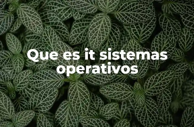 Que es It Sistemas Operativos