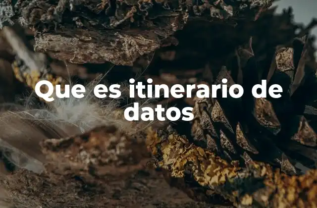 Que es Itinerario de Datos