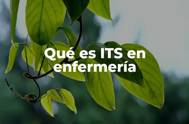 Qué es Its en Enfermería