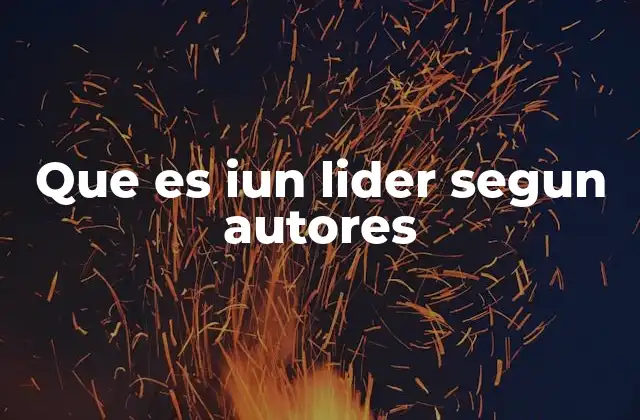 Que es Iun Lider Segun Autores
