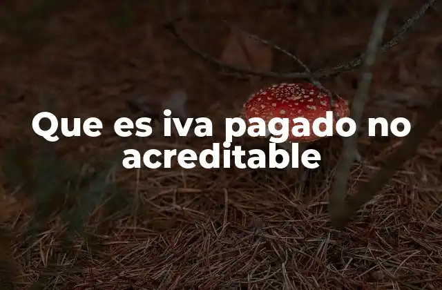 Que es Iva Pagado No Acreditable