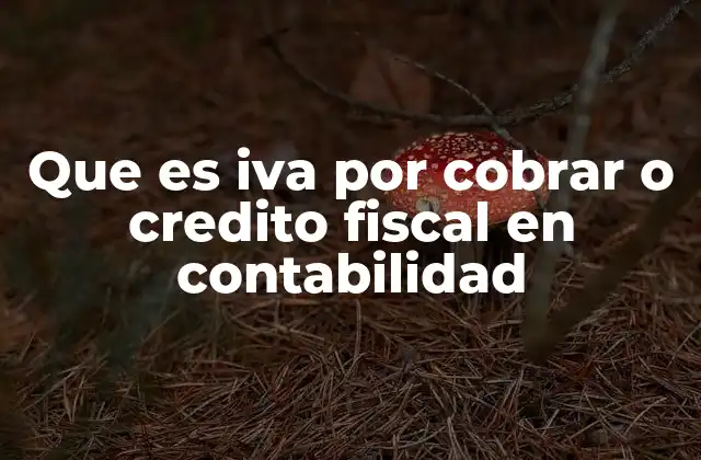 Que es Iva por Cobrar o Credito Fiscal en Contabilidad