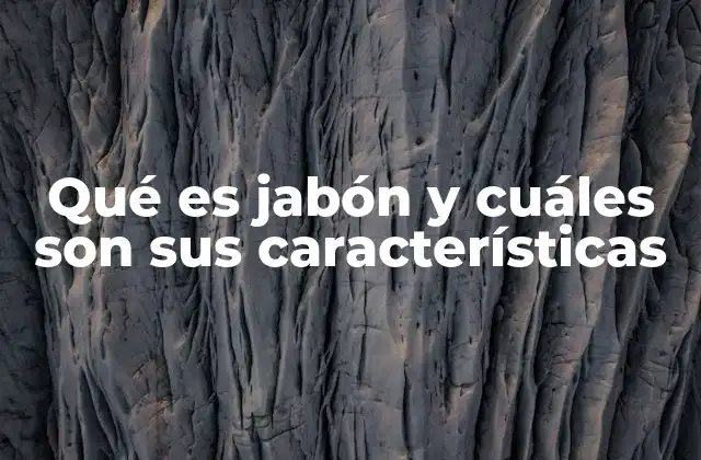 Qué es Jabón y Cuáles Son Sus Características