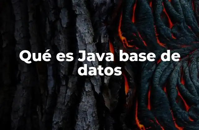 Qué es Java Base de Datos 2 La conexión entre Java y los sistemas de base de datos