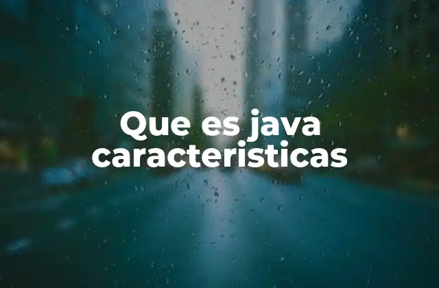 Que es Java Caracteristicas