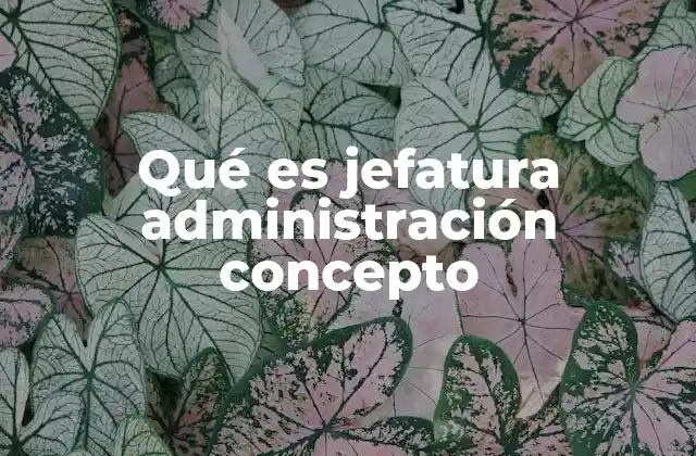 Qué es Jefatura Administración Concepto