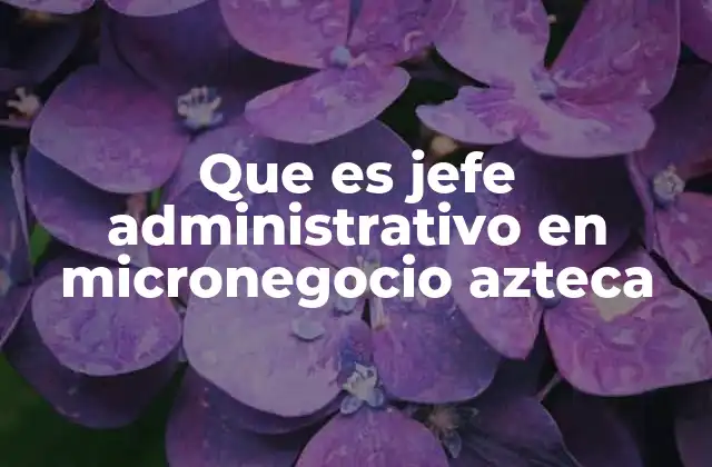 Que es Jefe Administrativo en Micronegocio Azteca 2 El rol estratégico del jefe administrativo en el éxito de un micronegocio Azteca