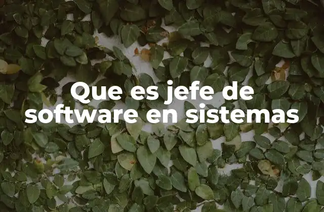 Que es Jefe de Software en Sistemas