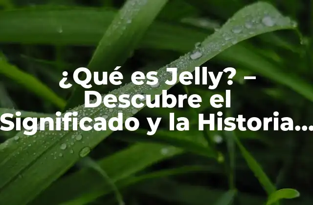 ¿qué es Jelly? – Descubre el Significado y la Historia Detrás de Este Dulce