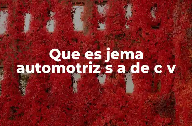 Que es Jema Automotriz S a de C V