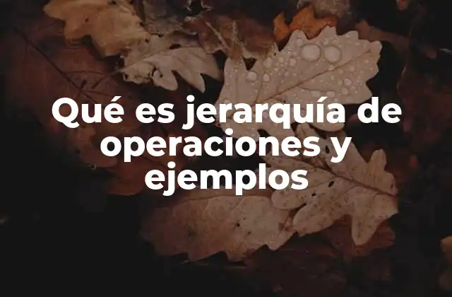 Qué es Jerarquía de Operaciones y Ejemplos
