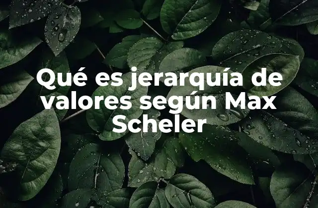 Qué es Jerarquía de Valores según Max Scheler 2 La jerarquía de valores como base de la moral humana