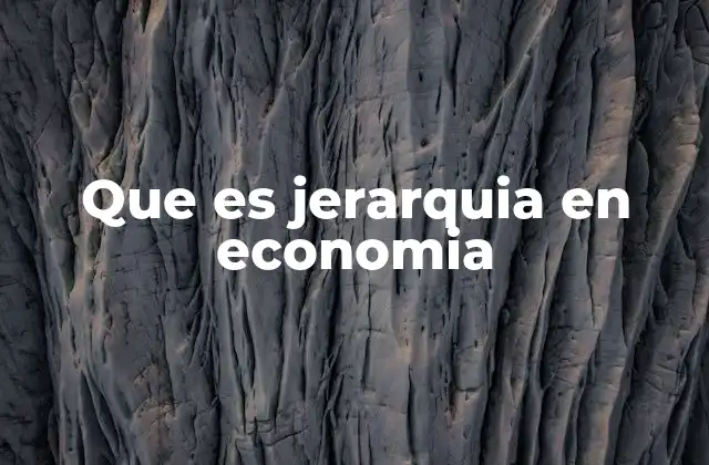 Que es Jerarquia en Economia