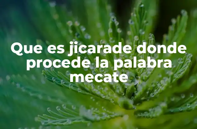 Que es Jicarade Donde Procede la Palabra Mecate