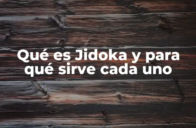 Qué es Jidoka y para Qué Sirve Cada Uno