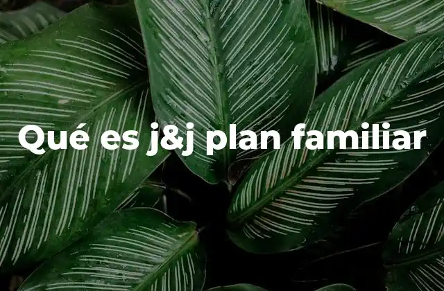 Qué es J&j Plan Familiar