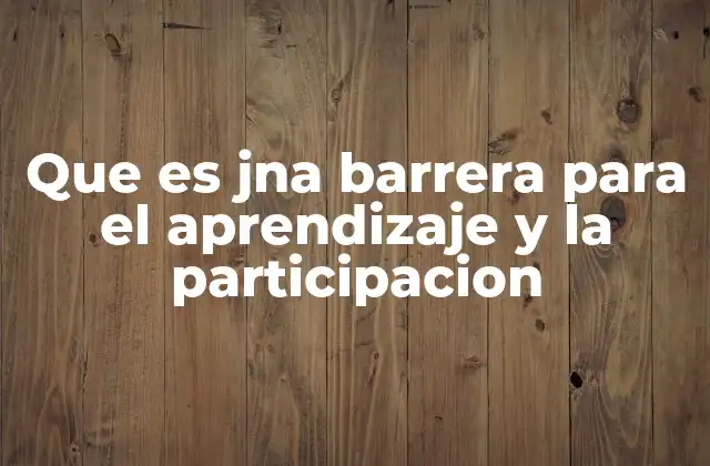 Que es Jna Barrera para el Aprendizaje y la Participacion