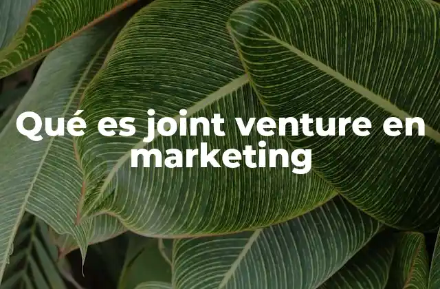 Qué es Joint Venture en Marketing