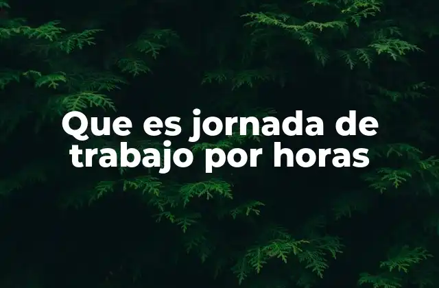 Que es Jornada de Trabajo por Horas
