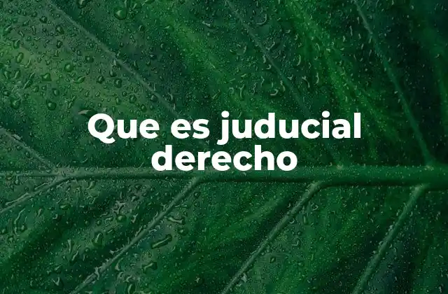 Que es Juducial Derecho