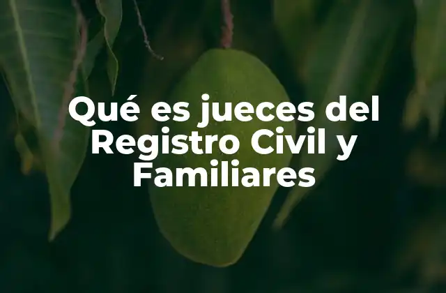 Qué es Jueces Del Registro Civil y Familiares