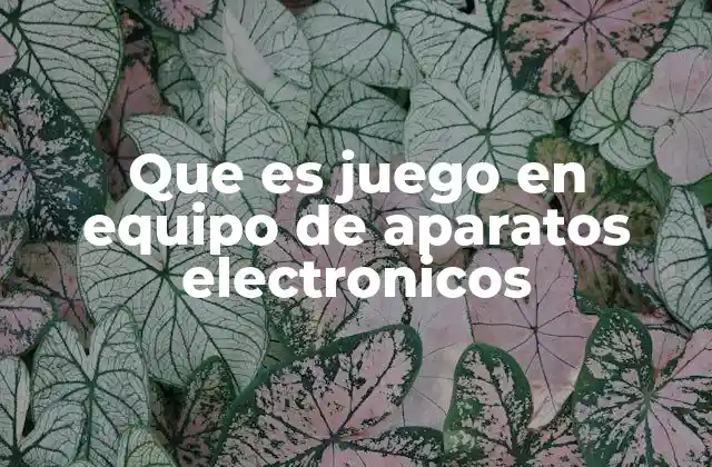 Que es Juego en Equipo de Aparatos Electronicos