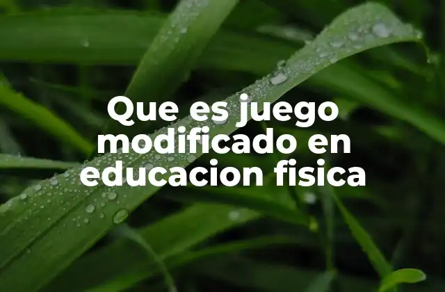Que es Juego Modificado en Educacion Fisica