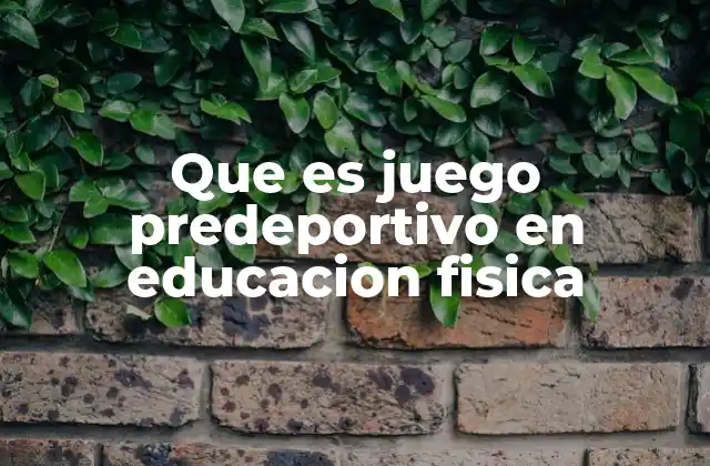 El papel del juego predeportivo en la formación integral