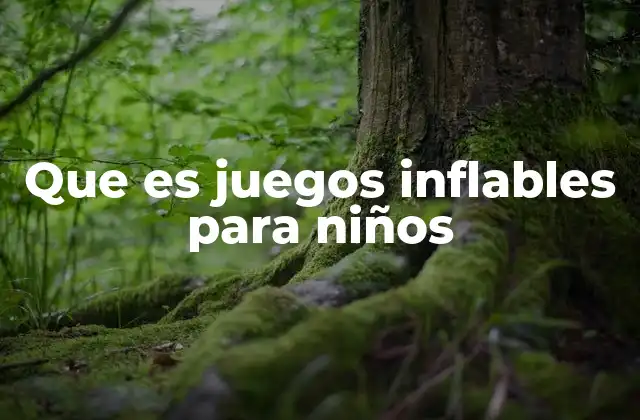 Que es Juegos Inflables para Niños