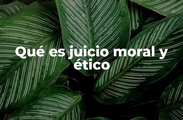 Qué es Juicio Moral y Ético
