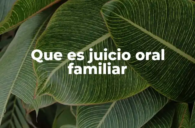Que es Juicio Oral Familiar