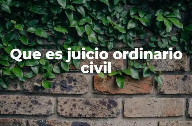 Que es Juicio Ordinario Civil