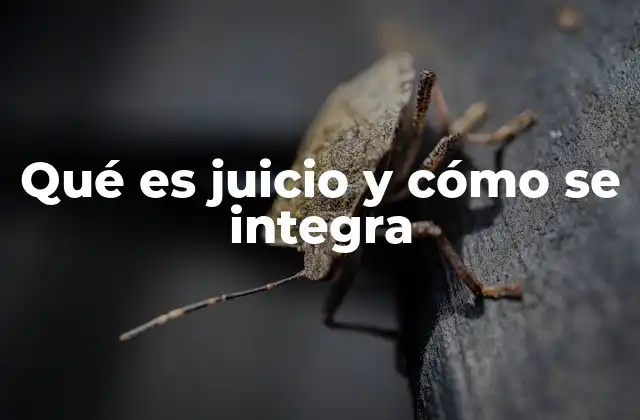 El juicio como proceso de toma de decisiones