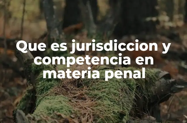 Que es Jurisdiccion y Competencia en Materia Penal