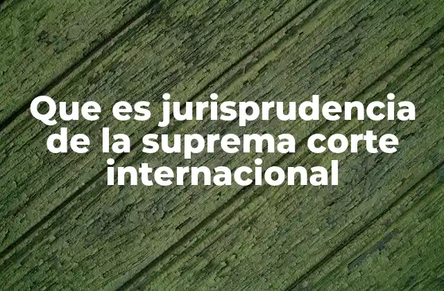 Que es Jurisprudencia de la Suprema Corte Internacional 2 El papel de la Corte Internacional en el ordenamiento jurídico global