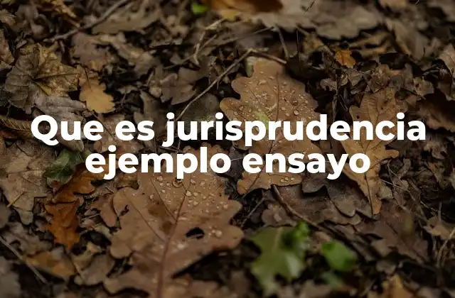 Que es Jurisprudencia Ejemplo Ensayo