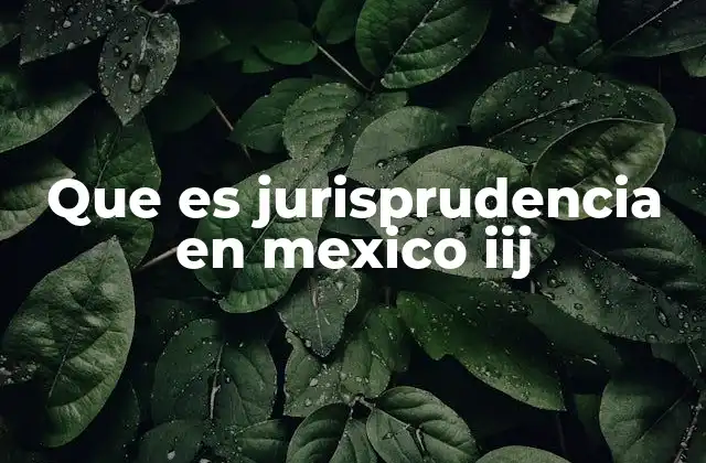 Que es Jurisprudencia en Mexico Iij