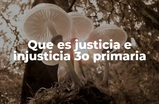 Que es Justicia e Injusticia 3o Primaria